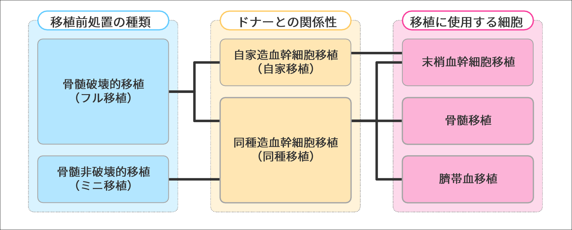 造血幹細胞移植の種類