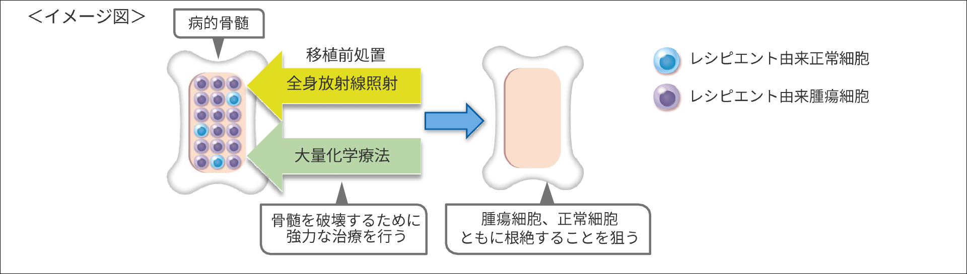 イメージ図