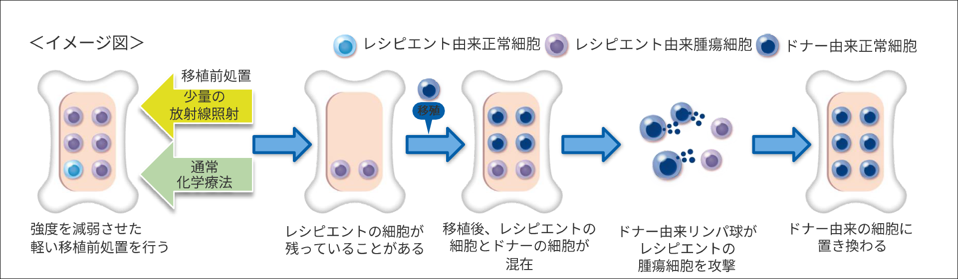 イメージ図